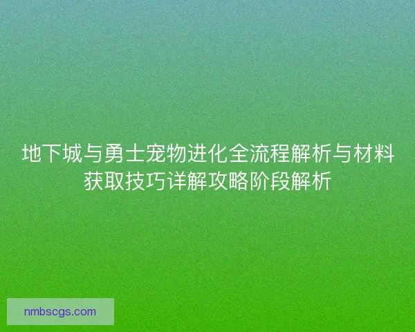 地下城与勇士宠物进化全流程解析与材料获取技巧详解攻略阶段解析