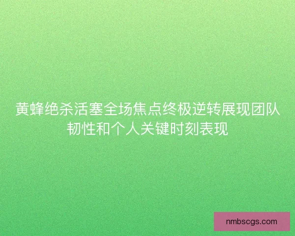 黄蜂绝杀活塞全场焦点终极逆转展现团队韧性和个人关键时刻表现