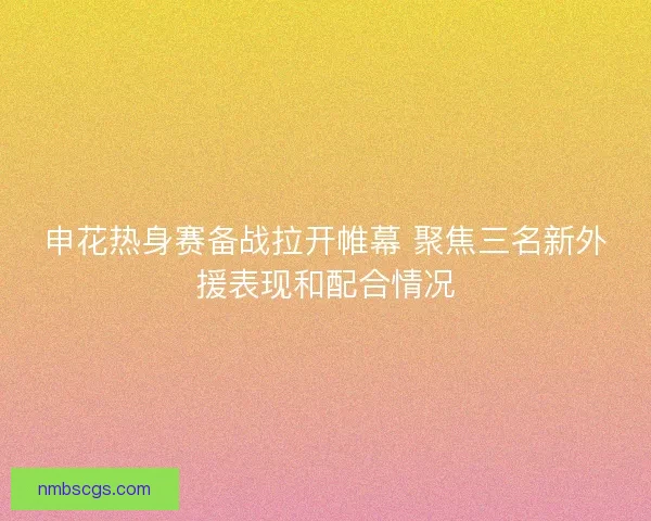 申花热身赛备战拉开帷幕 聚焦三名新外援表现和配合情况